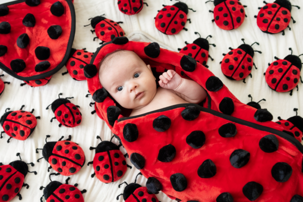 Baby Starters Brand Ladybug Blanket​